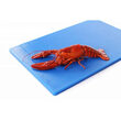 Tocator albastru GN1/1 - 530x325x(H)15 mm, Hendi, polietilena HDPE, 2 fete taiere, respecta normele de igiena HACCP