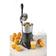Storcator electric citrice