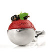 Lingura dozatoare inghetata, 1/36 lt, diam cupa 48 mm, Hendi Profi Line, inox, maner poliamid
