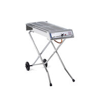 Gratar pe gaz Barbeque