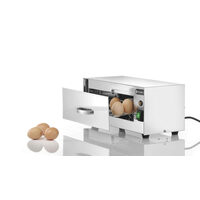 Sterilizator oua Hendi, 32 W, dezinfectare cu lampi UV, capacitate 10 oua, Argintiu, Inox